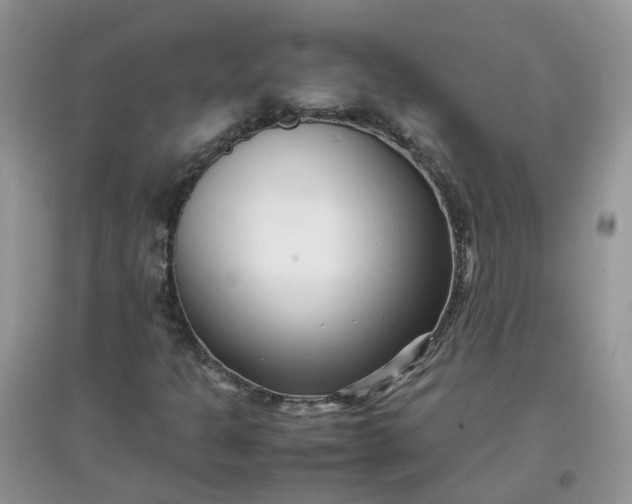 X0000097641301200803142037