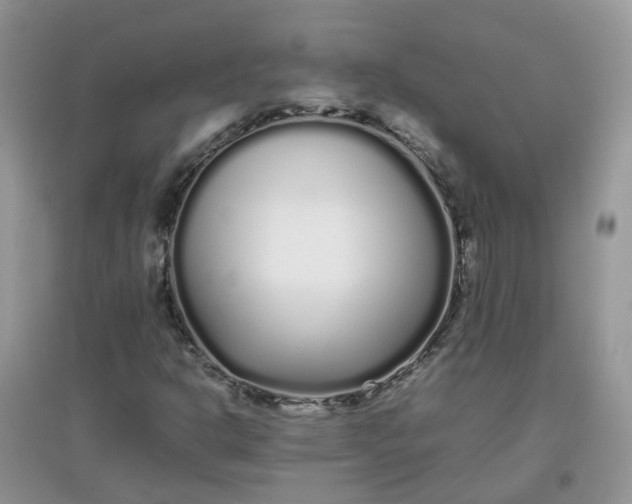 X0000097641302200803142037