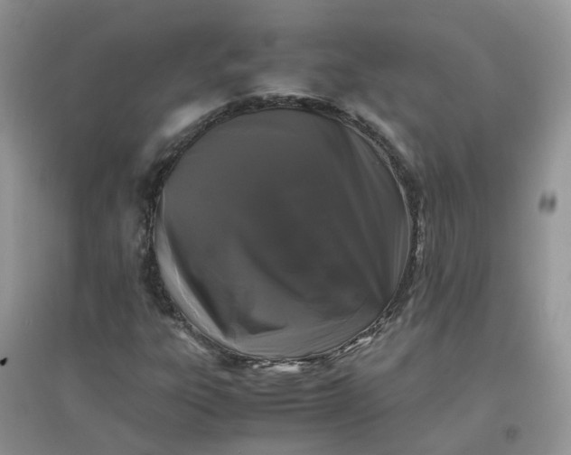 X0000097641303200803142037