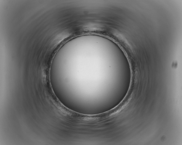 X0000097641305200803142037