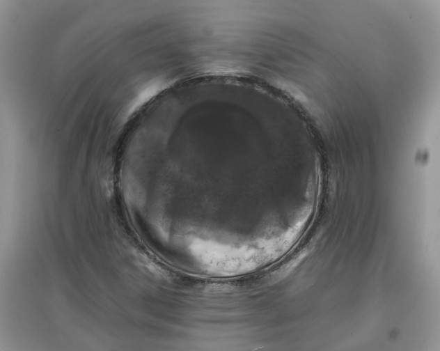 X0000097641306200803142037