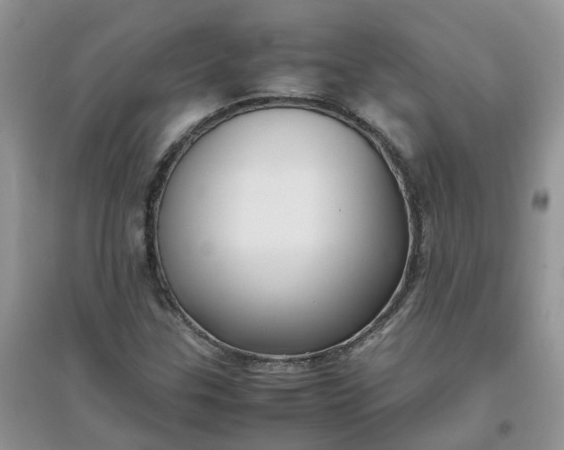 X0000097641307200803142037