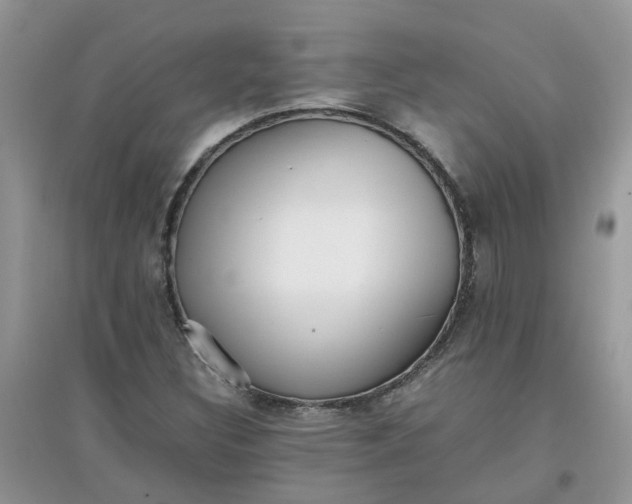 X0000097641308200803142037