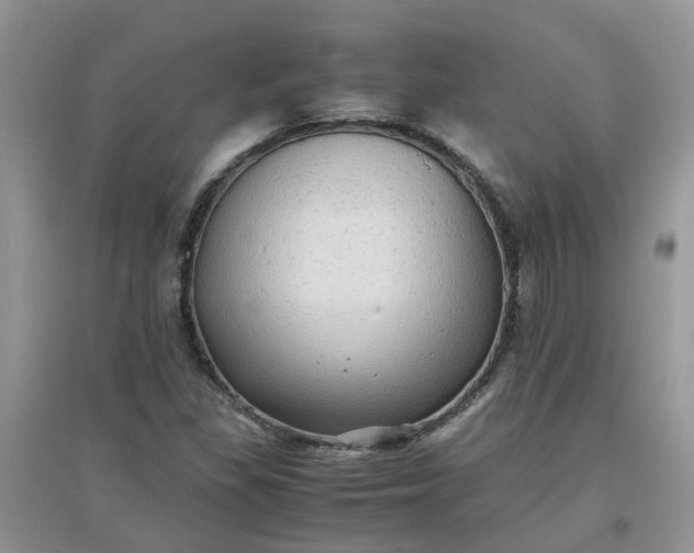 X0000097641309200803142037