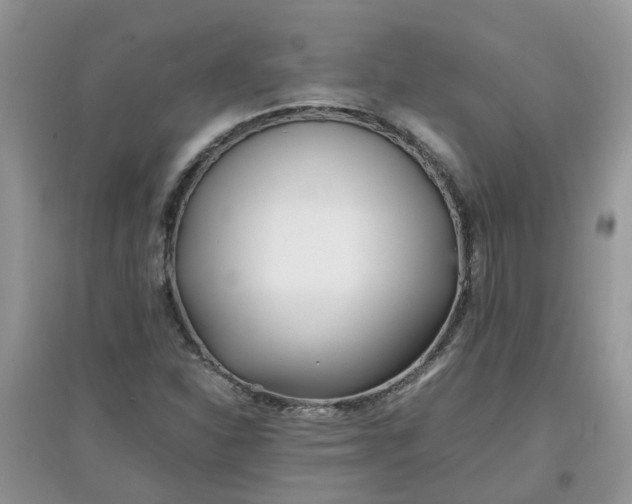 X0000097641310200803142037