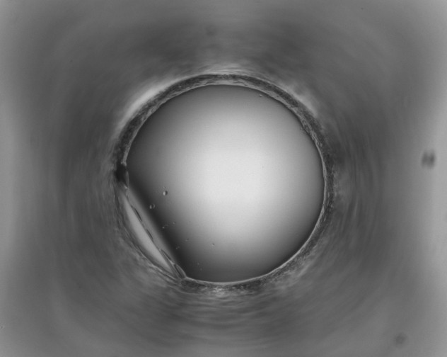 X0000097641311200803142037