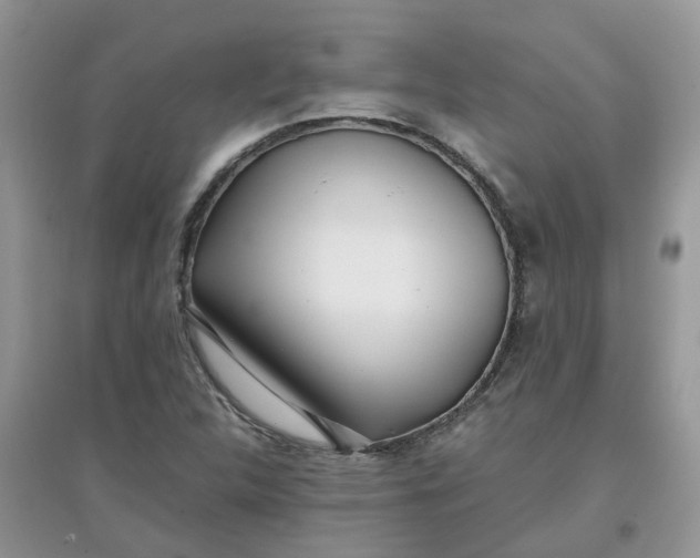 X0000097641312200803142037