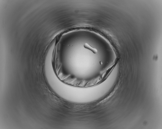 X0000097641313200803142037