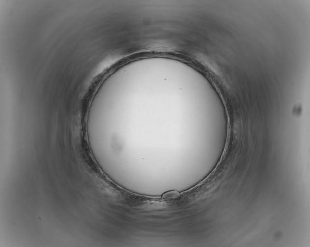 X0000097641315200803142038