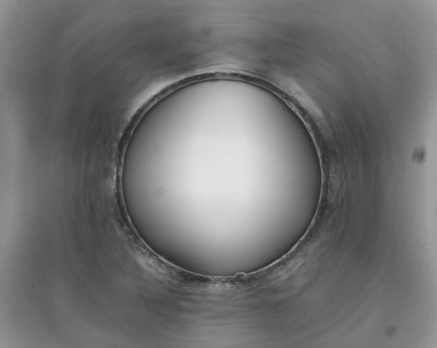 X0000097641316200803142038