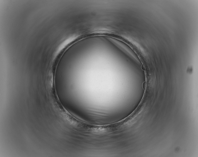 X0000097641317200803142038