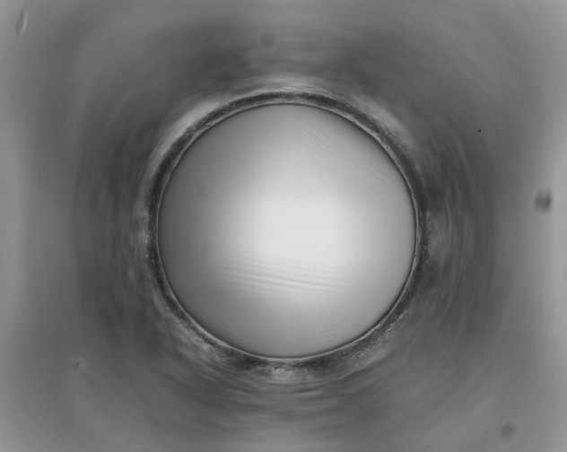 X0000097641318200803142038