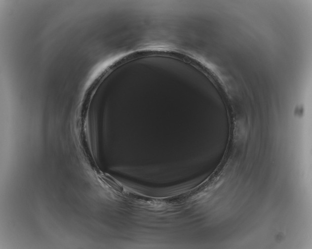 X0000097641319200803142038