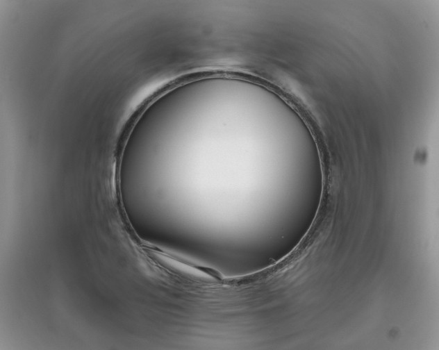 X0000097641320200803142038