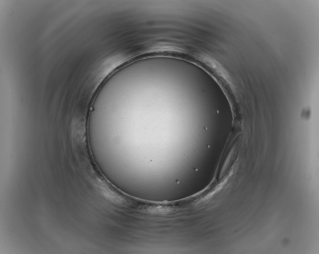 X0000097641321200803142038