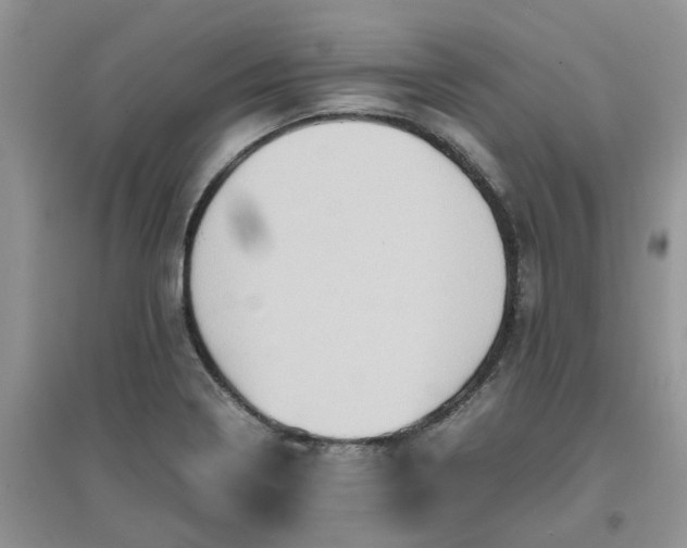 X0000097641322200803142038