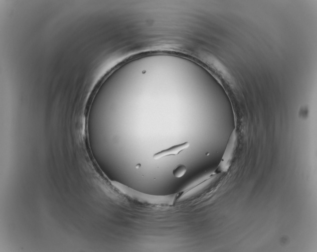 X0000097641324200803142038