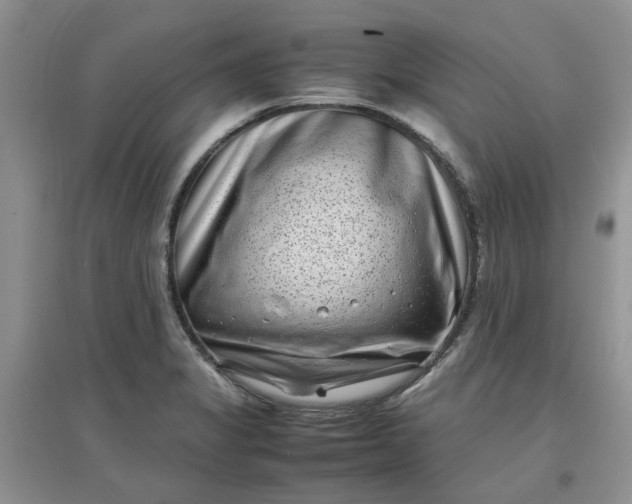 X0000097641325200803142038