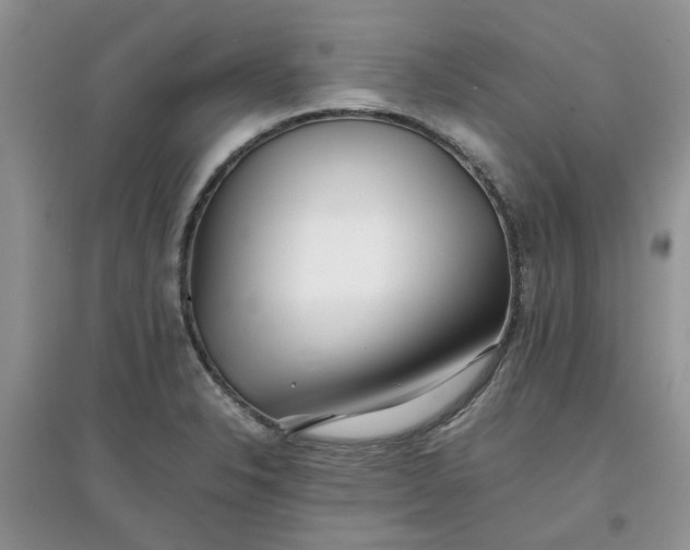 X0000097641326200803142038