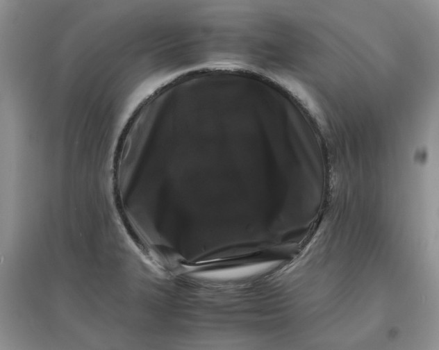 X0000097641327200803142038