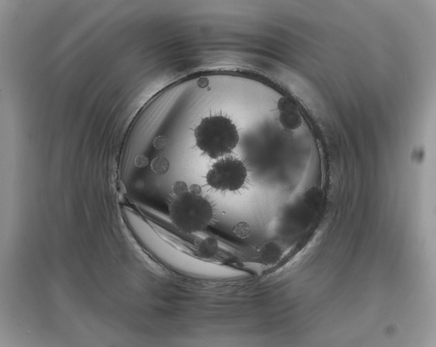 X0000097641329200803142038