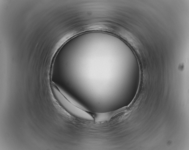 X0000097641330200803142038