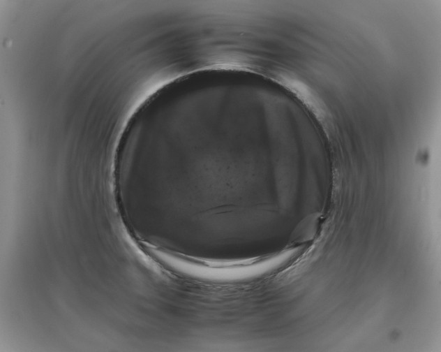 X0000097641331200803142038