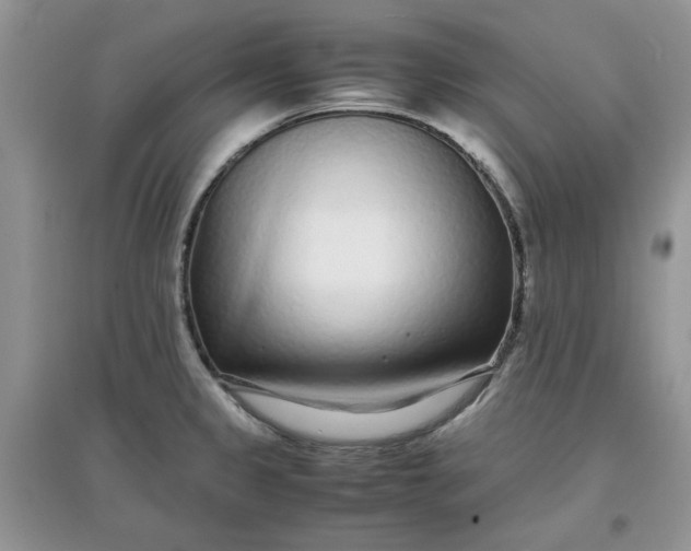 X0000097641333200803142038