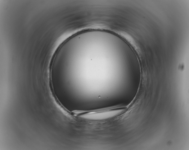 X0000097641335200803142038