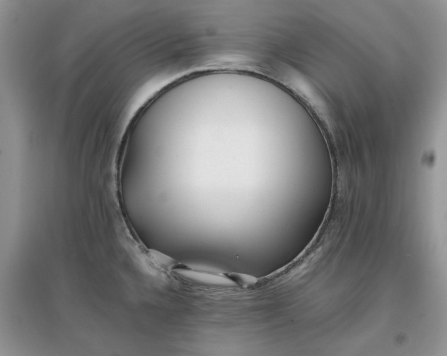 X0000097641336200803142038