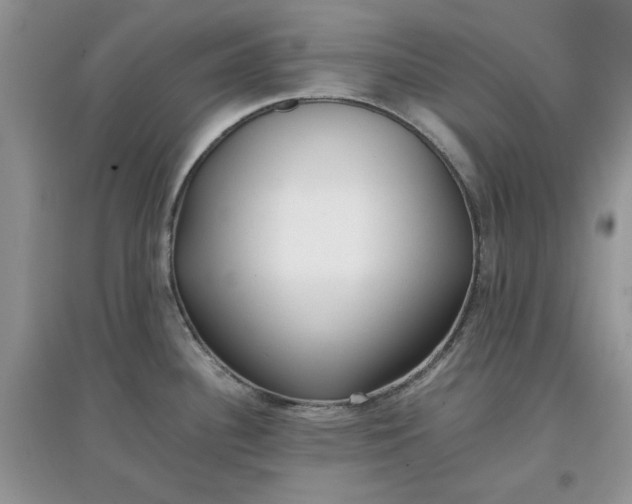 X0000097641340200803142038