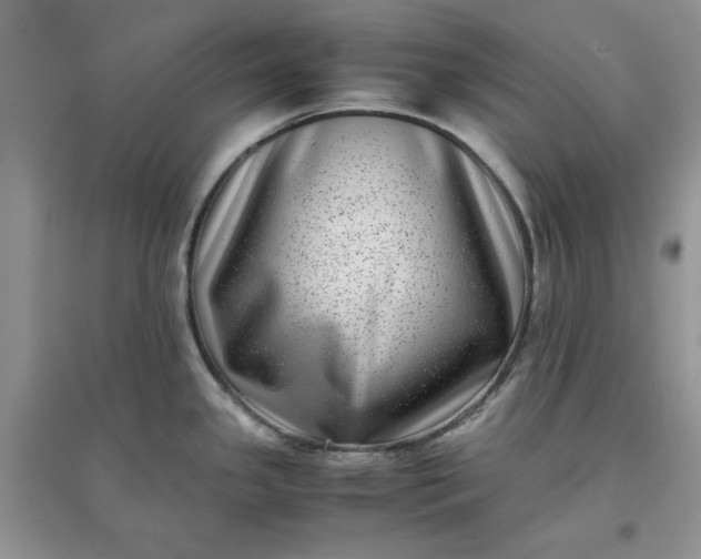 X0000097641341200803142038