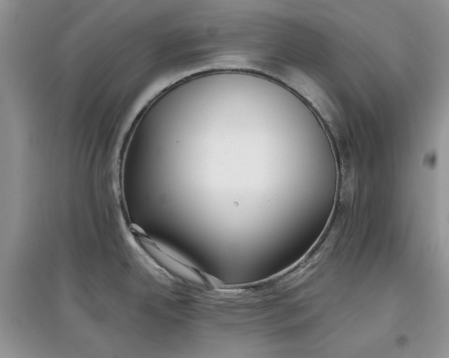 X0000097641342200803142038