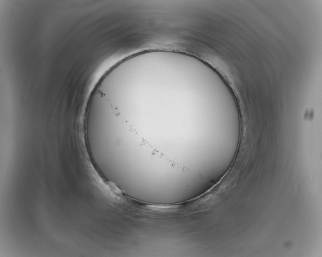 X0000097641344200803142038