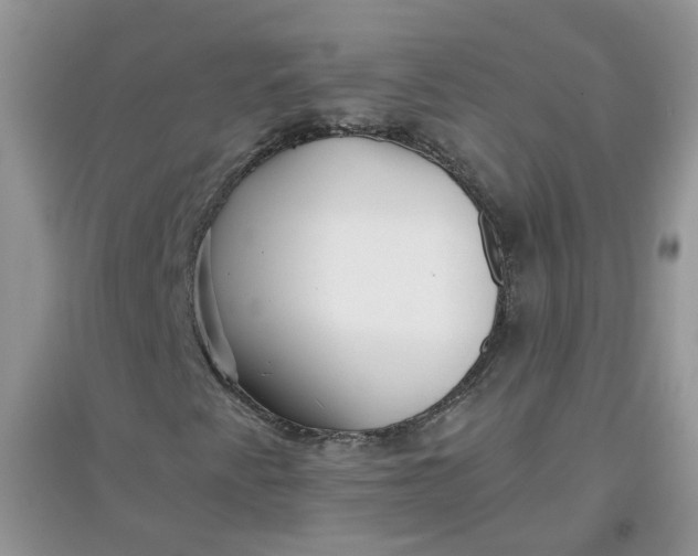 X0000097641345200803142037