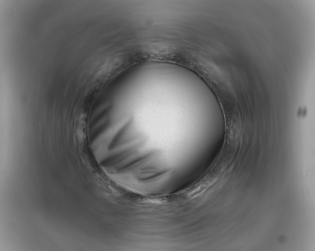 X0000097641346200803142037