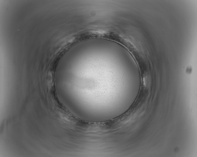 X0000097641347200803142037