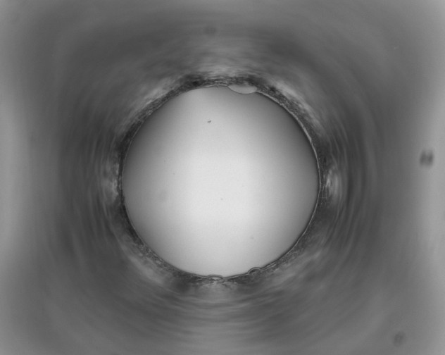 X0000097641348200803142037