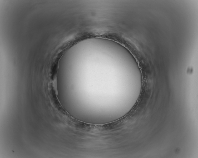 X0000097641349200803142037