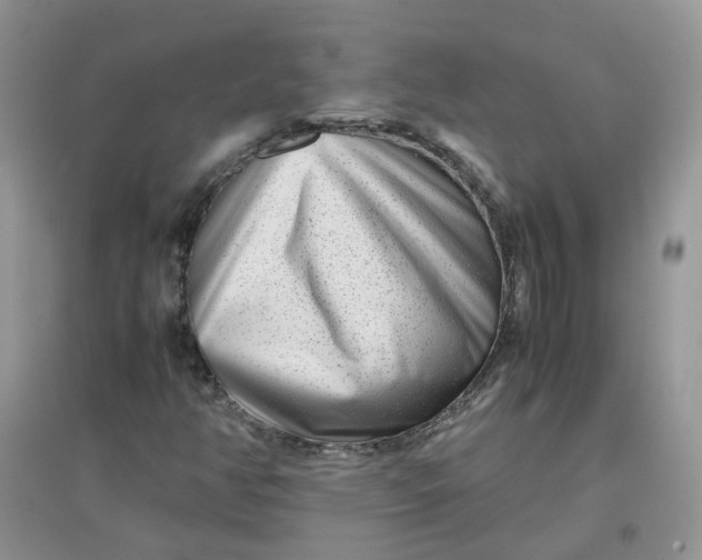 X0000097641350200803142037