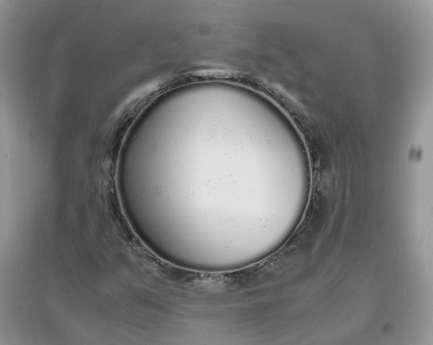 X0000097641351200803142037