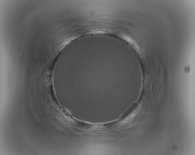 X0000097641353200803142037