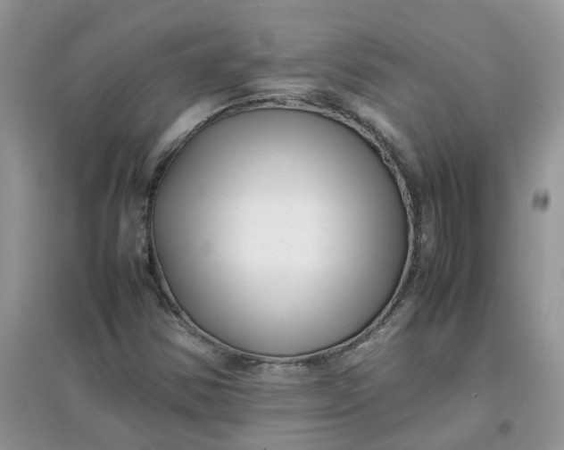 X0000097641354200803142037