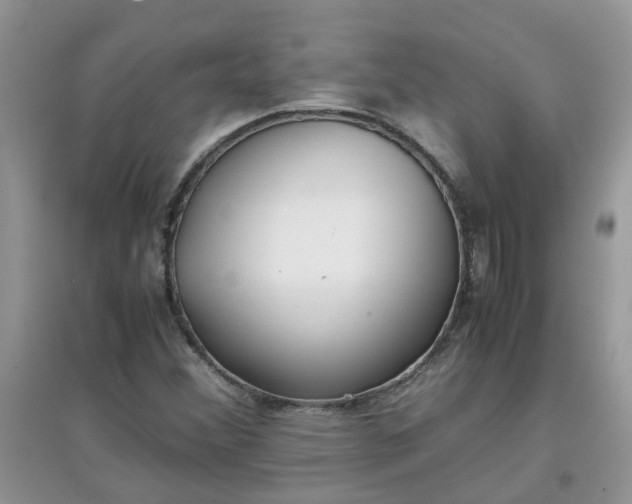 X0000097641356200803142037