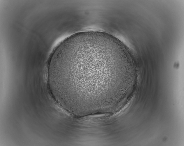 X0000097641358200803142037