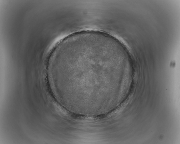 X0000097641359200803142037