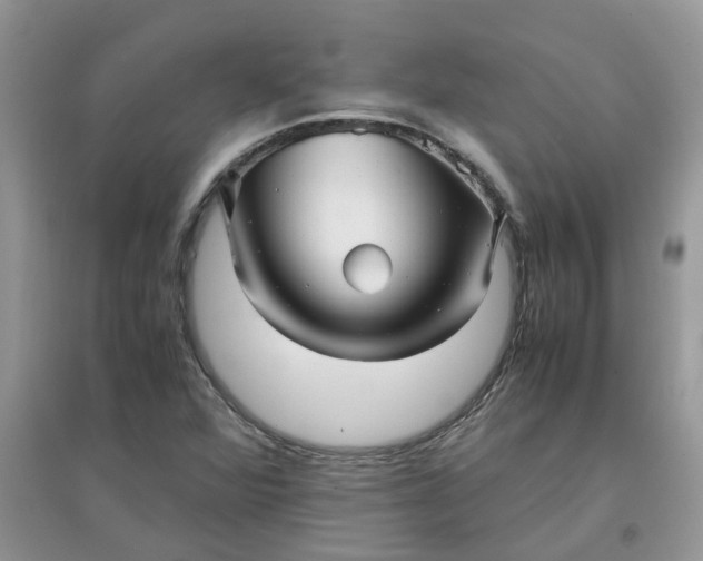 X0000097641360200803142037