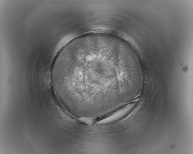 X0000097641362200803142037