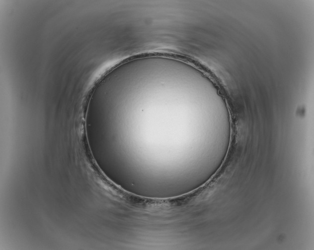 X0000097641363200803142037