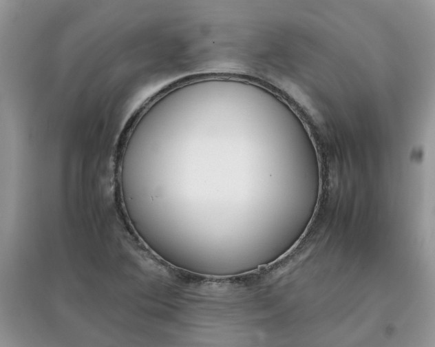 X0000097641364200803142037